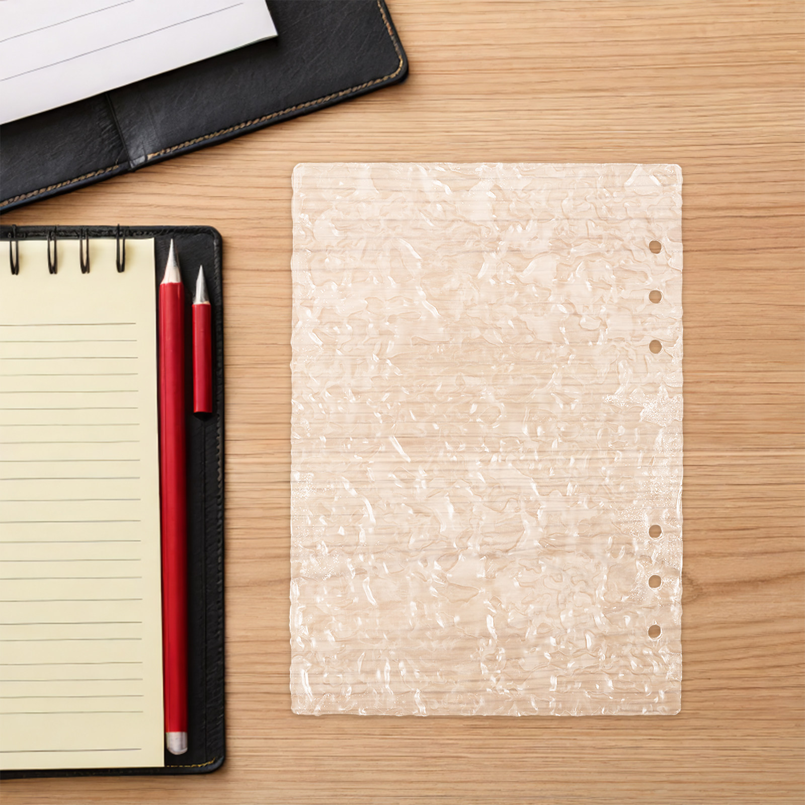 Carpeta Transparente A5, Recar - Travel Notebook Journal reseña y precio
